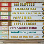 Rin Tin Tin seikkailee (1954-1955) 24 jaksoa (8DVD) - pikkukuva 5