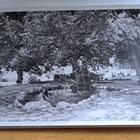 Lahti, Aino-veistos, kulkenut 1952 - pikkukuva 1