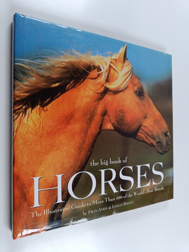 Lesley Bayley ym. : Big Book of Horses