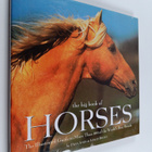 Lesley Bayley ym. : Big Book of Horses - pikkukuva 1
