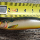 Rapala minnow spoon! - pikkukuva 1