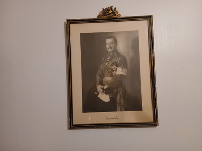 Suomileijona, Taulu kuva Marsalkka Mannerheim