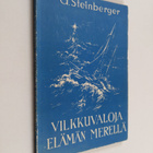 G. Steinberger : Vilkkuvaloja elämän merellä - pikkukuva 1