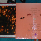 DEATH HAWKS ~ Psychic Harmony ~ LP M- - pikkukuva 2