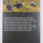 Jorma Koski : Hanhipiilo - pikkukuva 2