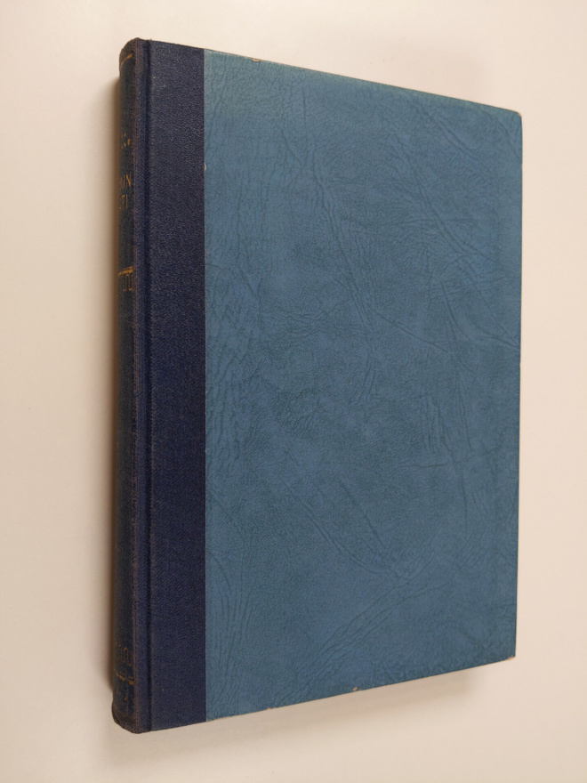 Kristina Lindstrand : Malmin mahti : romaani