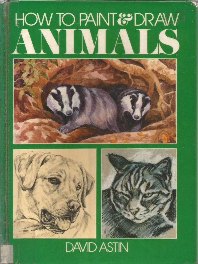 David Astin <> How to paint & draw animals