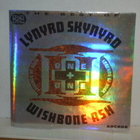 Lynyrd Skynyrd * Wishbone Ash 2CD The Best Of - pikkukuva 1