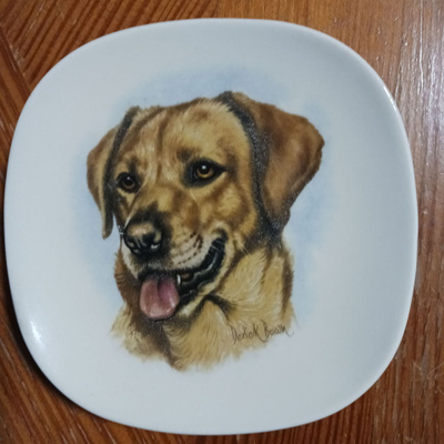 Kermansavi seinälautanen Labradorinnoutaja