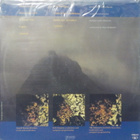 BEL KANTO - WHITE-OUT CONDITIONS - SCAN 1987 1ST. EX-/EX- LP - pikkukuva 2