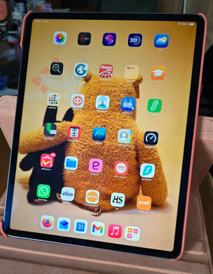 IPAD PRO 12,9" 256 GB, WIFI+CELLULAR,