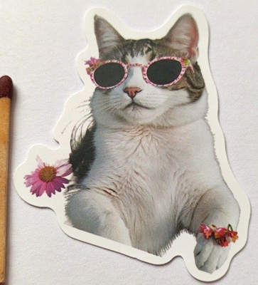 Kissa tarra