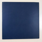 Christina Snellman - pikkukuva 2