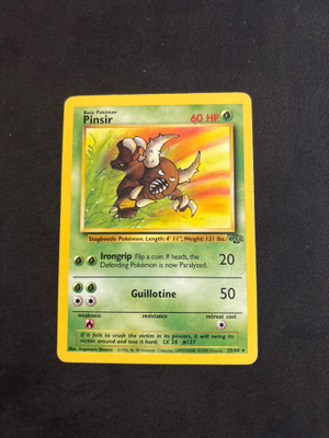 Pinsir 25/64 Jungle