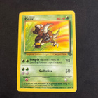 Pinsir 25/64 Jungle - pikkukuva 1