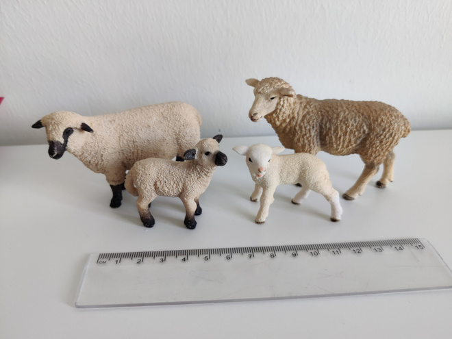 Schleich lampaat