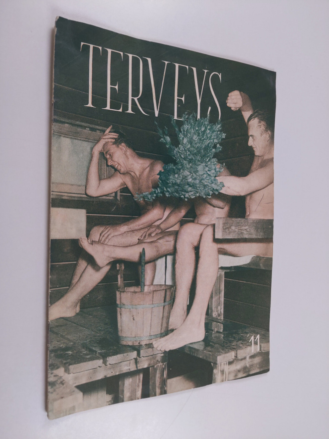 Terveys 11/1958 : terveyttä koteihin