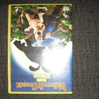 Wallace&Gromit* KANIN KIROUS *DVD - pikkukuva 1