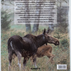 Kerstin M. (toim.) Stålbrand : Suuri metsästyskirja - pikkukuva 2