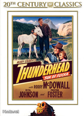 Thunderhead - Son Of Flicka - DVD