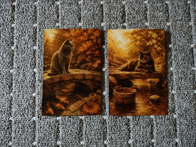 ~Kissa kortti~ 2kpl