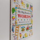 Isabel Clark : My big book of words - pikkukuva 1