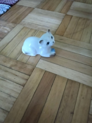Kissa