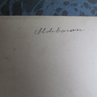 Parkkilaiva Aldebaran, n. 1900 - pikkukuva 2