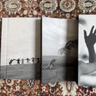 Ingmar Bergman Criterion Collection - pikkukuva 3