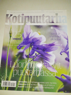 Kotipuutarha 6/2019