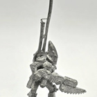 WH40K - Eldar Standard Bearer (1987) [S97] - pikkukuva 2