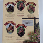 David Dolezal : Times : In harness Vol. 9 N:o 1/1998 - pikkukuva 2