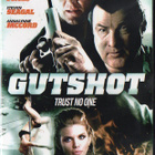 gutshot (56 334) UUSI -FI- nordic, DVD steven seagal 2014 - pikkukuva 2