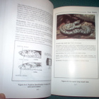US ARMY SURVIVAL MANUAL FM 21-76 (2000) Sis.postikulut - pikkukuva 5