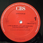 JOHN NORUM :: LOVE IS MEANT ... :: VINYYLI 12" MAXI 1987 - pikkukuva 3