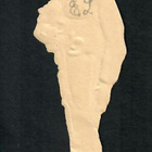 Wanha - Kaunis, ujo poika ja ruusu - 1900-l alku - pikkukuva 3