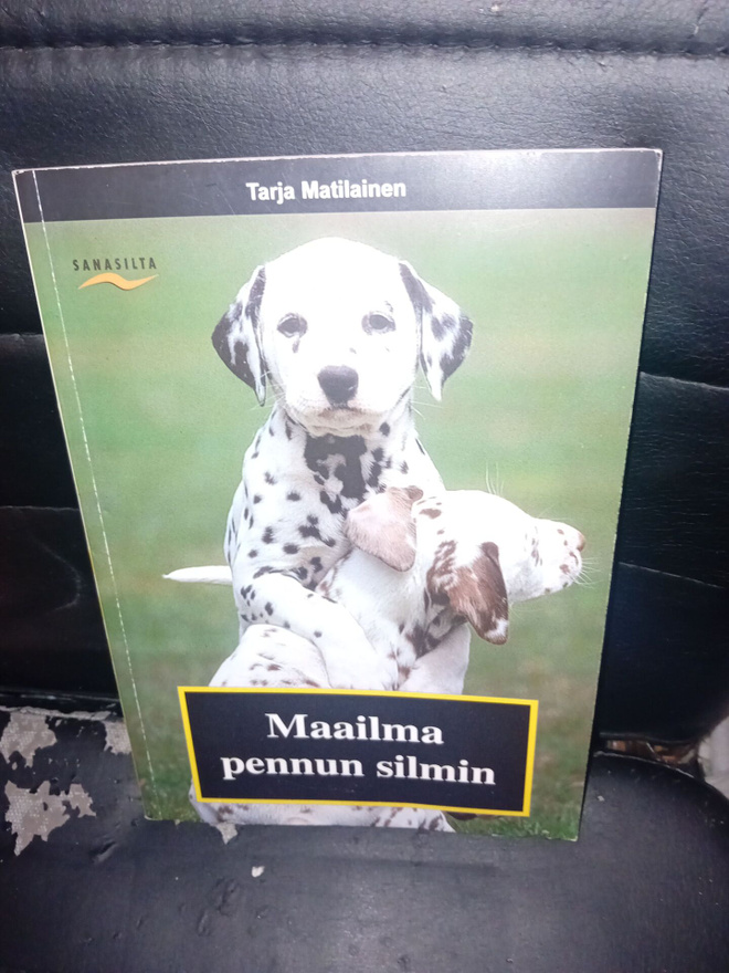 Matilainen  : Maailma pennun silmin  ( SIS POSTIKULU )