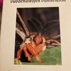 WALDBAUER: HYÖNTEISET VUODENAIKOJEN VAIHTELUSSA - pikkukuva 1