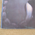 Scorpions Savage Amusement lp Venezuela 1988 - pikkukuva 3