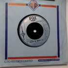 FOX :: IMAGINE ME IMAGINE YOU :: VINYYLI SINGLE   UK 1975 !! - pikkukuva 1