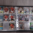 Topps Premier Gold 2004 kansio & kortit - pikkukuva 4