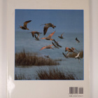 Mark Rauzon : Pictorial Encyclopedia of Birds of the World - pikkukuva 2