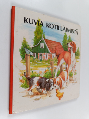 Kuvia kotieläimistä