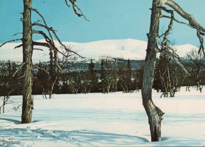 Sokosti Kiilopää Sodankylä Lappi 1968