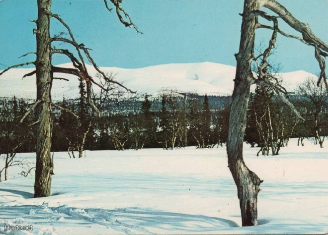Sokosti Kiilopää Sodankylä Lappi 1968
