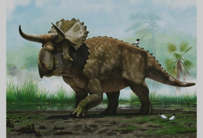 Nasutoceratops #3028