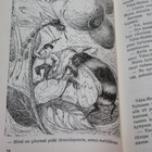 Laura Soinne - Vuorenhaltijan lahja 1.p. 1953 - pikkukuva 3