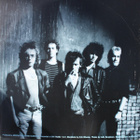MOSQUITOS :: HOODOO :: VINYYLI LP 1986 - pikkukuva 5