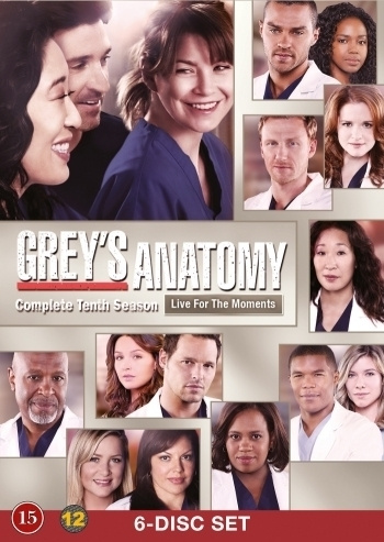 Greyn Anatomia Kausi 10	(25 664)	k	-FI-	DVD	(3slim+p)	(6)		2