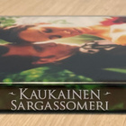 Kaukainen Sargassomeri (2006) edeltää Jane Eyrea - pikkukuva 3